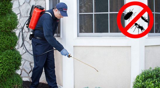 Kemeraltı Fare İlaçlama böcek ilaçlama ve haşere kontrolü — ilaclama-tr.com